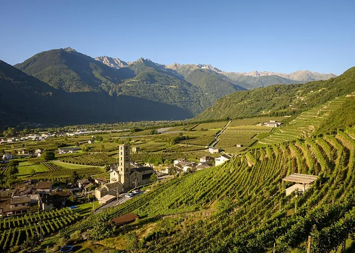 Base531 ゲストハウス 4*